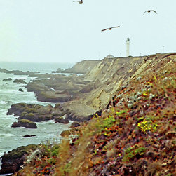 West Coast Scene 4 - Artwork