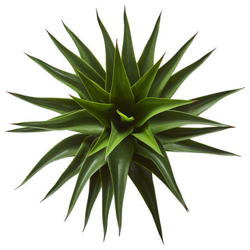 28" Agave Artificial Plant