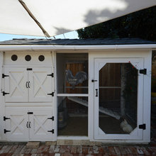 Chicken Coop