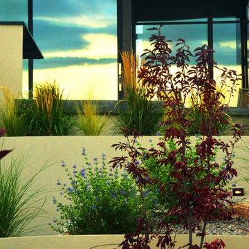 Contemporary with all the Modern Convenience