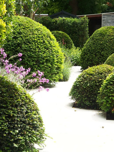 Perspective Tricks to Make Your Garden Appear Larger