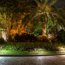 Driveway Tropical
