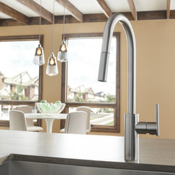 Parma&reg; Cafe Single Handle Pull-Down Kitchen Faucet - Kitchen Faucets