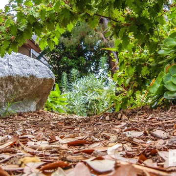 N Olive Ave Residence (Alhambra)
