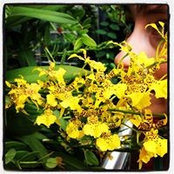 Emily Bird's photo