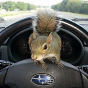 Stacey Tuten's photo