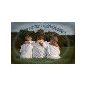 Brandon Krauklis's photo
