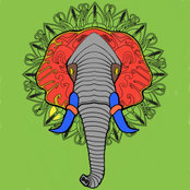 Ankur Goel's photo