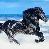 Sandra Botha's photo