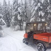 Jim Currier's photo