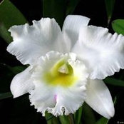 Odete Calado's photo
