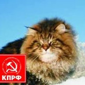 Юрий Алексеевич's photo