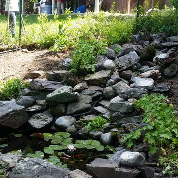 Waterfall Garden
