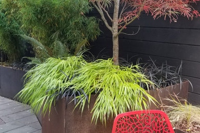 This is an example of a small contemporary shade side yard concrete paver and wood fence retaining wall landscape in Seattle.
