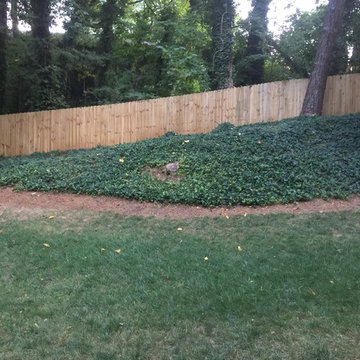 Atlanta Back Yard