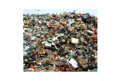 Garbage Dumpster Rental Utah