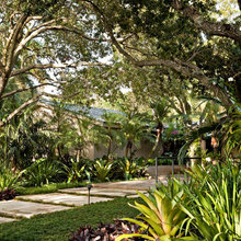 tropical and arid garden