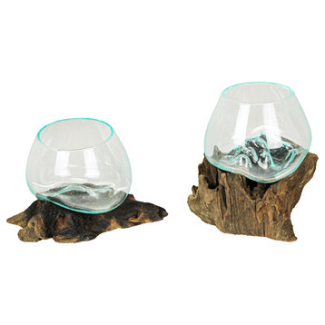 Set of 2 Blown Molten Glass On Teak Driftwood Decorative Bowl / Mini Terrarium