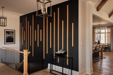 Example of a trendy entryway design with black walls