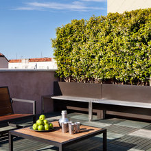 wall