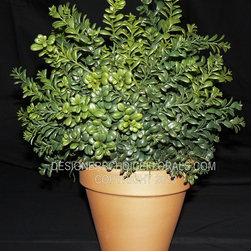 The New Greenery - Products