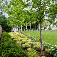 Landscape Favorites