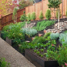 sloped garden