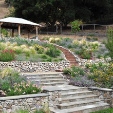 terraced stairs