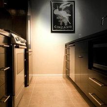 Downtown Condo Kitchen Remodel