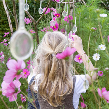 Through the Looking Glass