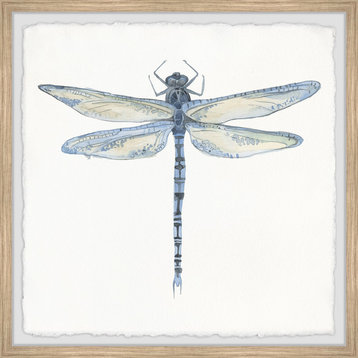 "Wild Dragonfly" Framed Painting Print, 12"x12"