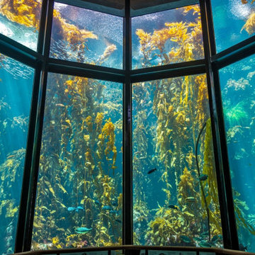 Monterrey Bay Aquarium