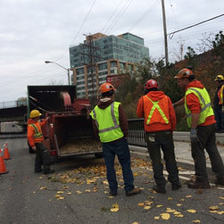 TTC Tree trimming and removals - Products