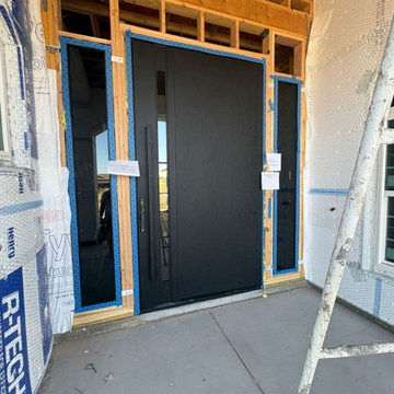 Axis 1163 Black pivot door