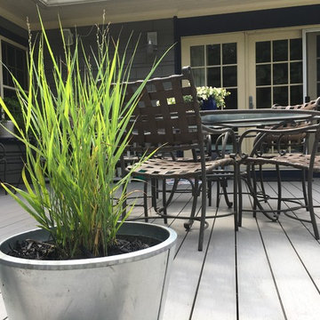 Ornamental Grass Planter