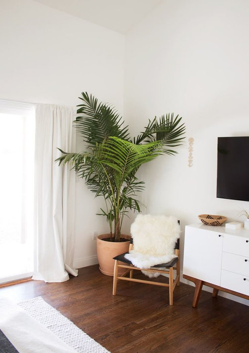 Plants inside the house?