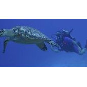 Roland Garner's photo