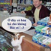 Phạm Hạnh's photo