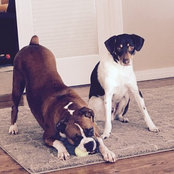 Traci Samaras's photo