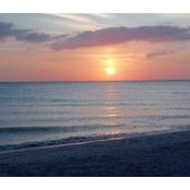 Sally Laurenzi's photo