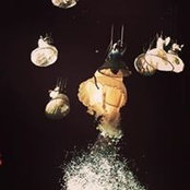 Yun Yin's photo