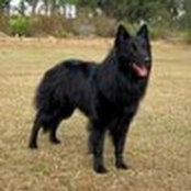 Brendan Segraves's photo