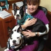 Debi Schusler_Martin's photo