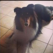 Foto von Eve Beaulieu
