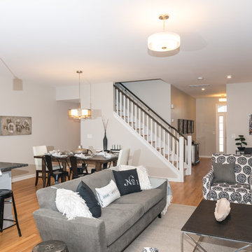 The Pimlico Model