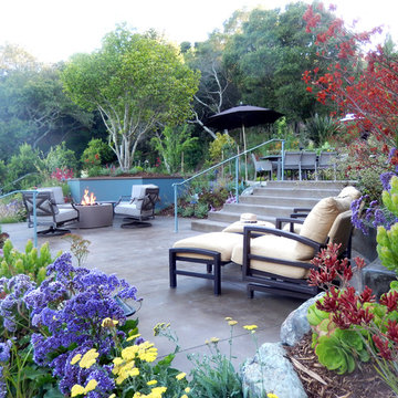 Mill Valley Hillside Garden
