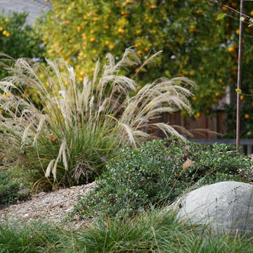 Los Gatos Ranch House Redesign