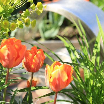 City Garden