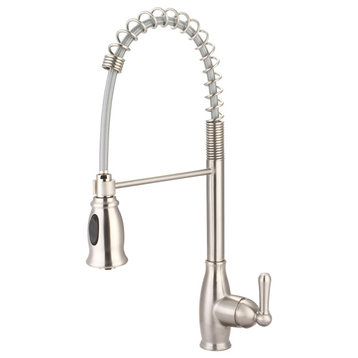 Olympia Faucets K-5045 Accent 1.5 GPM 1 Hole Kitchen Faucet - PVD Brushed