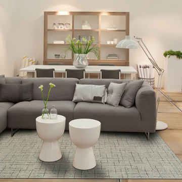 Japel Area Rug - Ash